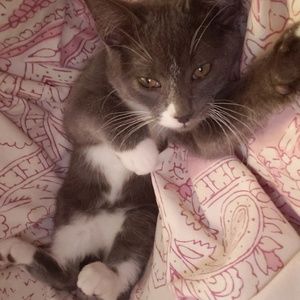 Meet your Posher, Emily